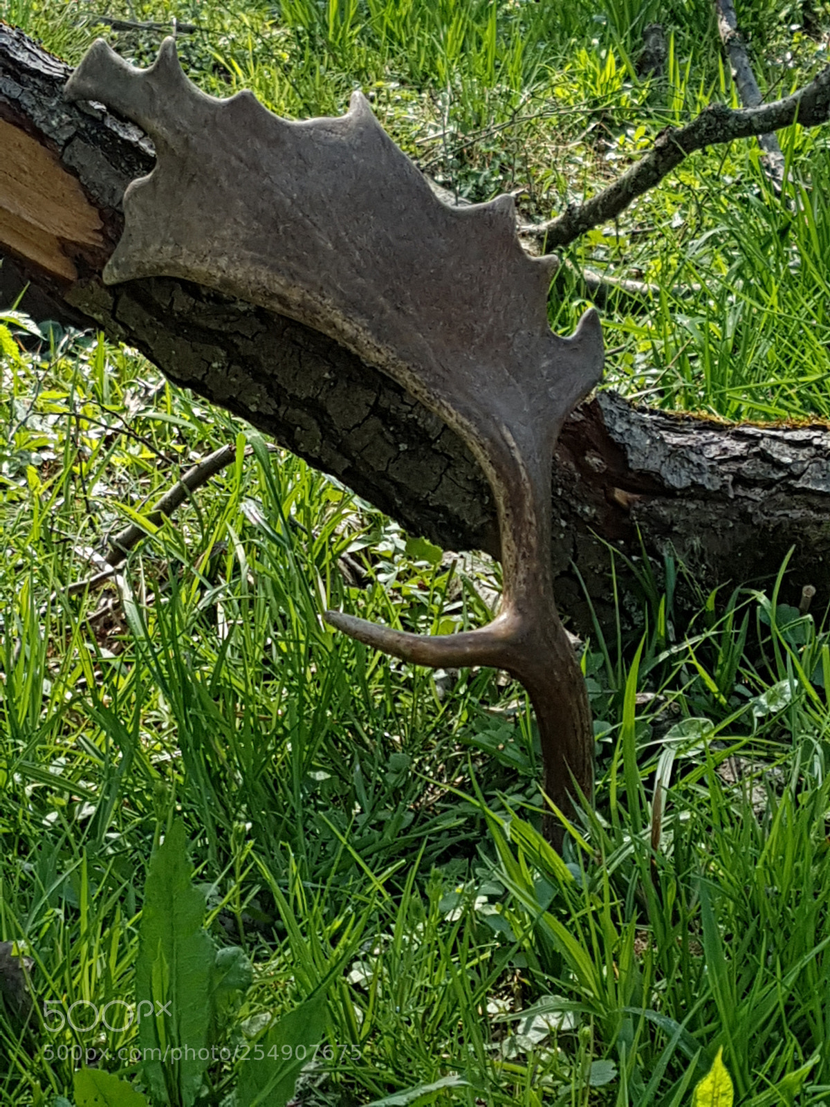 Samsung Galaxy S7 sample photo. Untitled photography