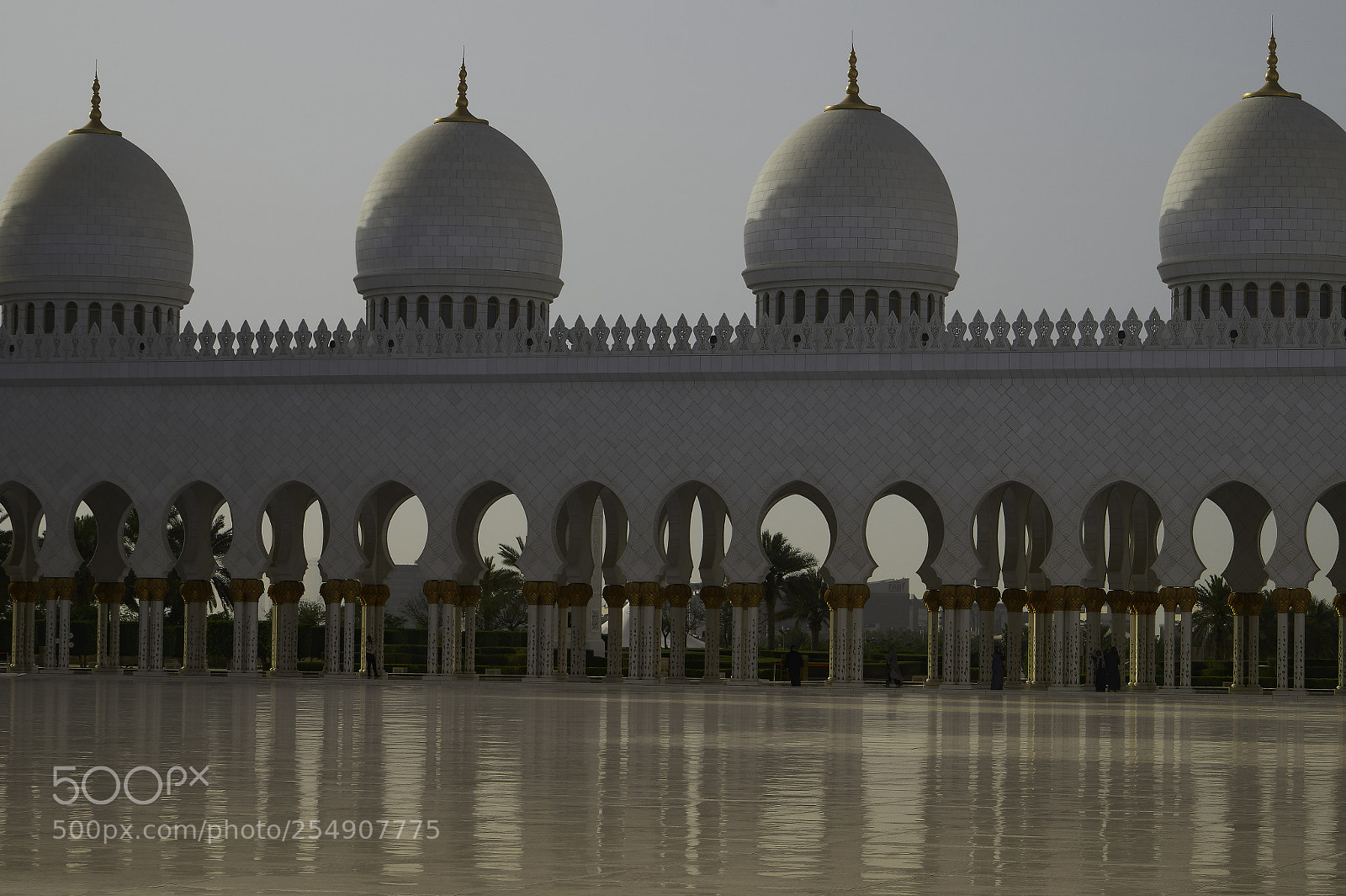 Sony Alpha a5000 (ILCE 5000) sample photo. Abu dhabi - sheikh photography