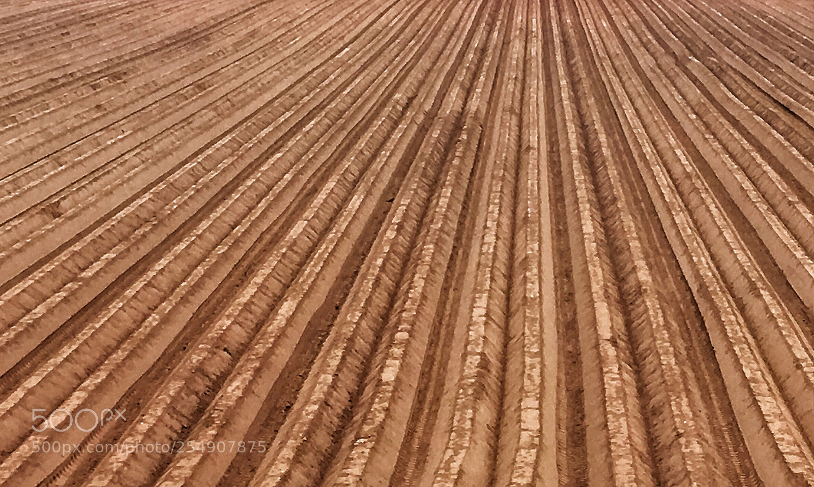 Apple iPhone 6s sample photo. Empty field for now ;):)  photography