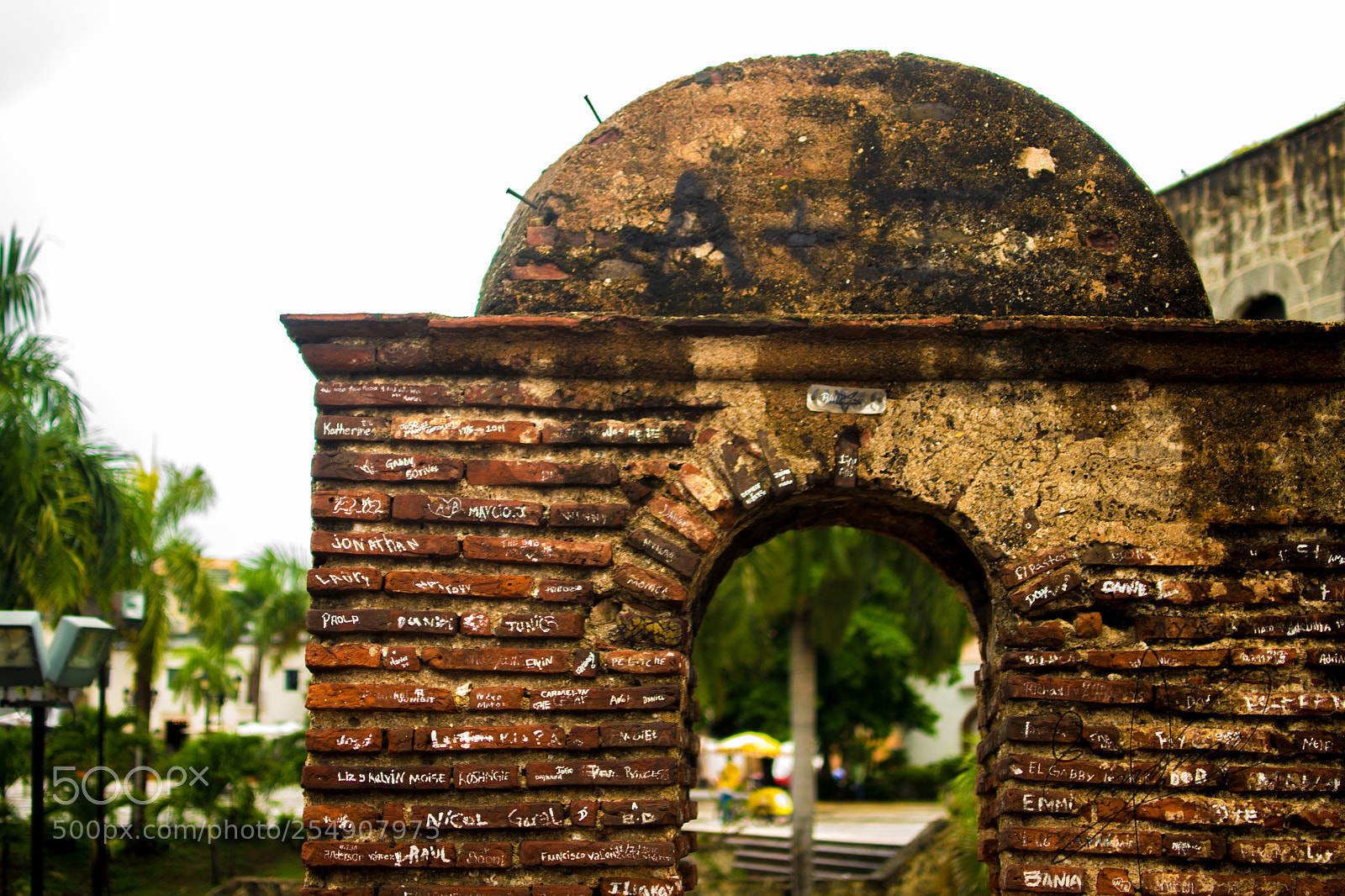 Nikon D3100 sample photo. Ec photography
