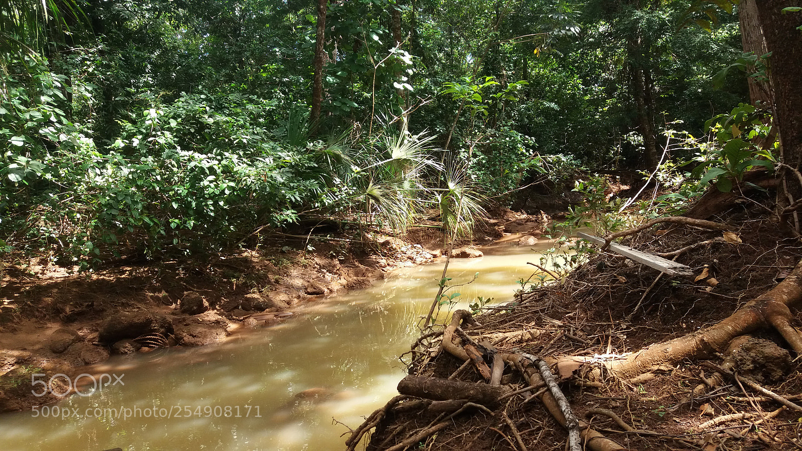 Samsung Galaxy J5 sample photo. Untitled photography