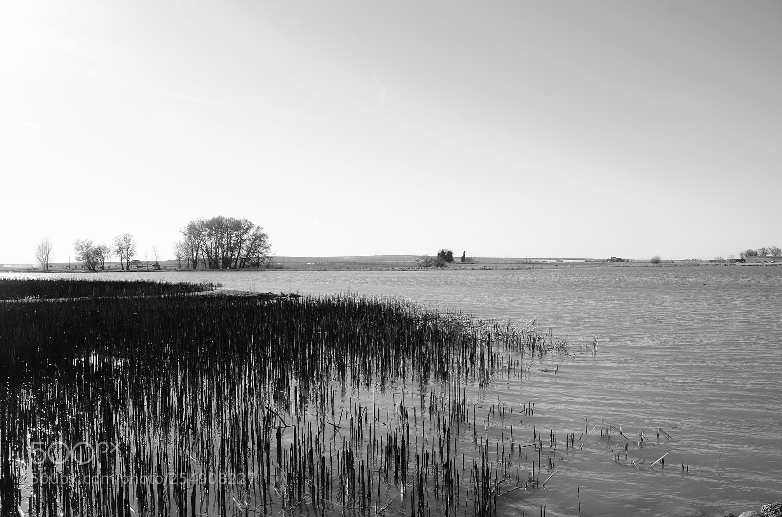 Nikon D7000 sample photo. Burnt photography
