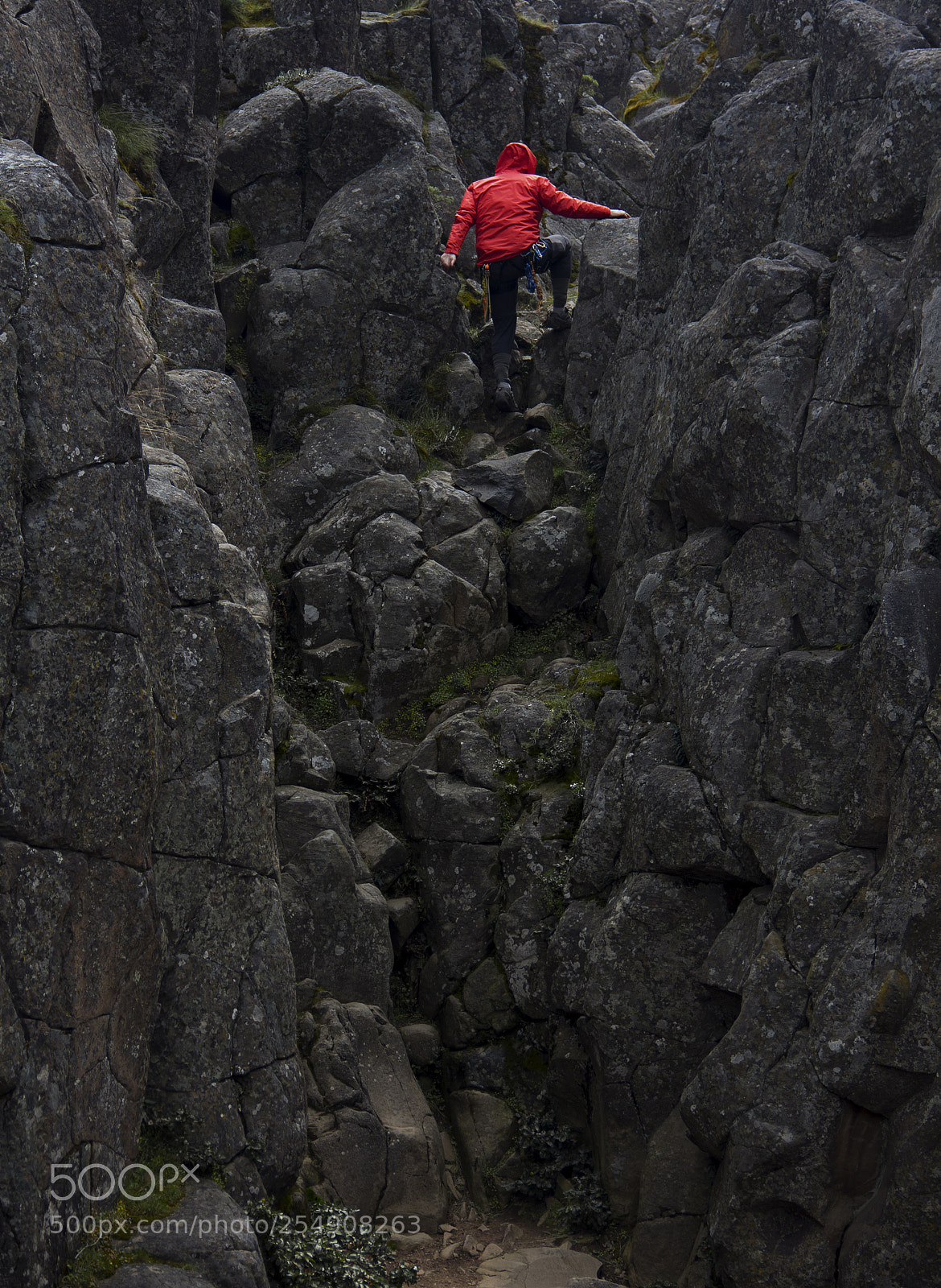 Canon EOS 60D sample photo. Climb on!! photography