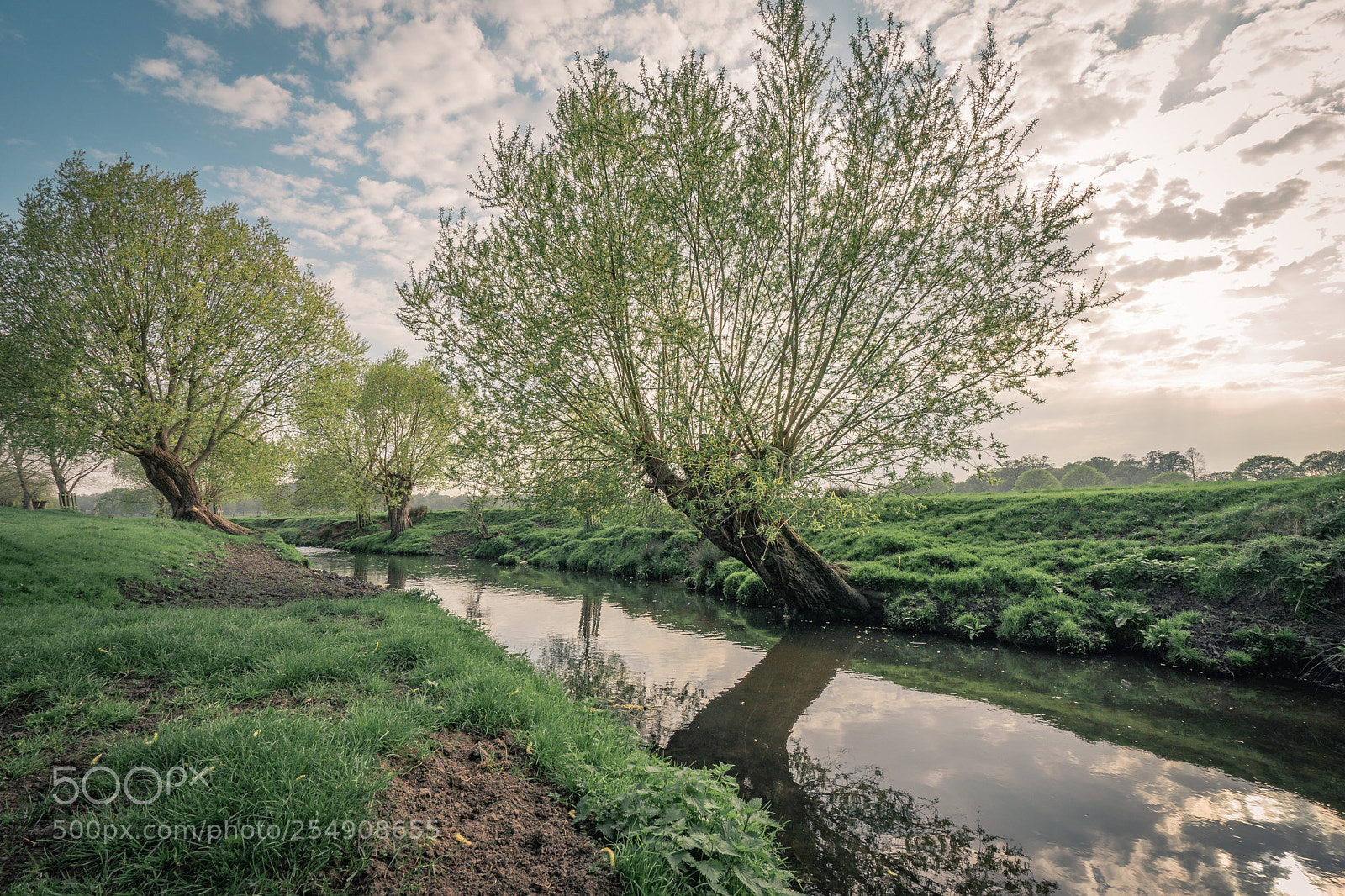 Sony a7 II sample photo. Richmond park photography