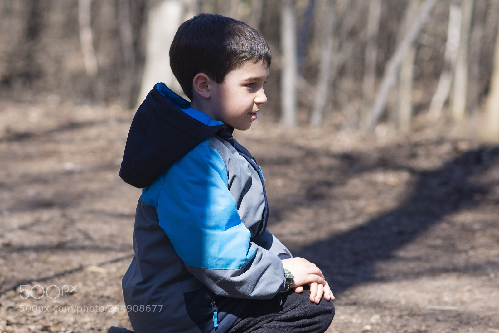 Nikon D600 sample photo. Sitting in the forrest photography