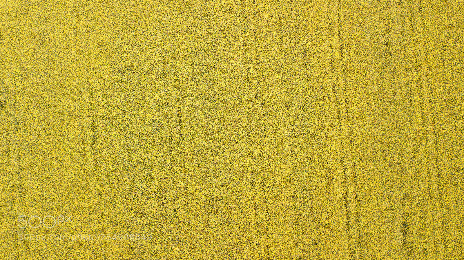 DJI FC220 sample photo. Soya photography