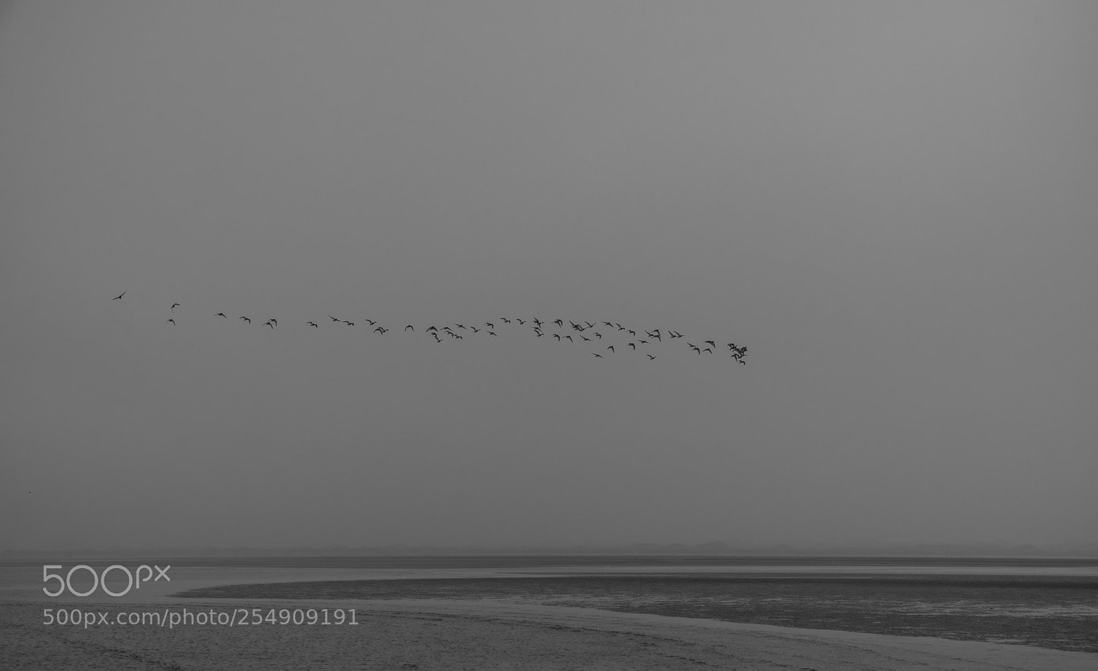 Fujifilm X-T20 sample photo. Foggy beach photography