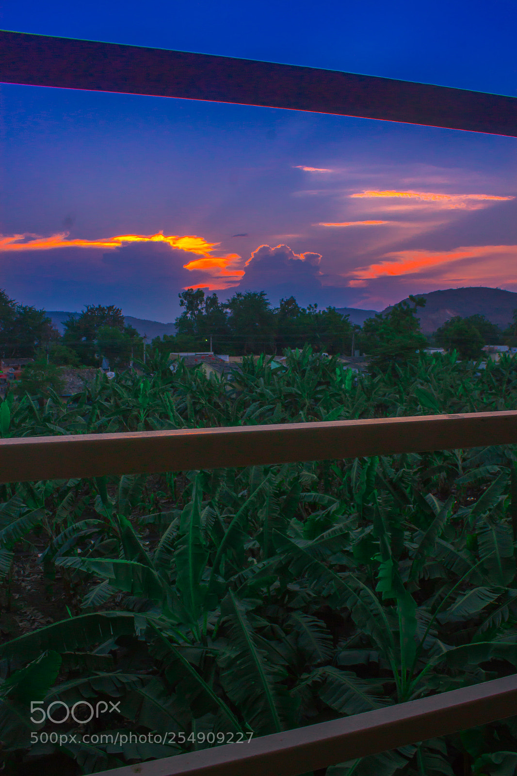 Canon EOS 1200D (EOS Rebel T5 / EOS Kiss X70 / EOS Hi) sample photo. Evening view  photography
