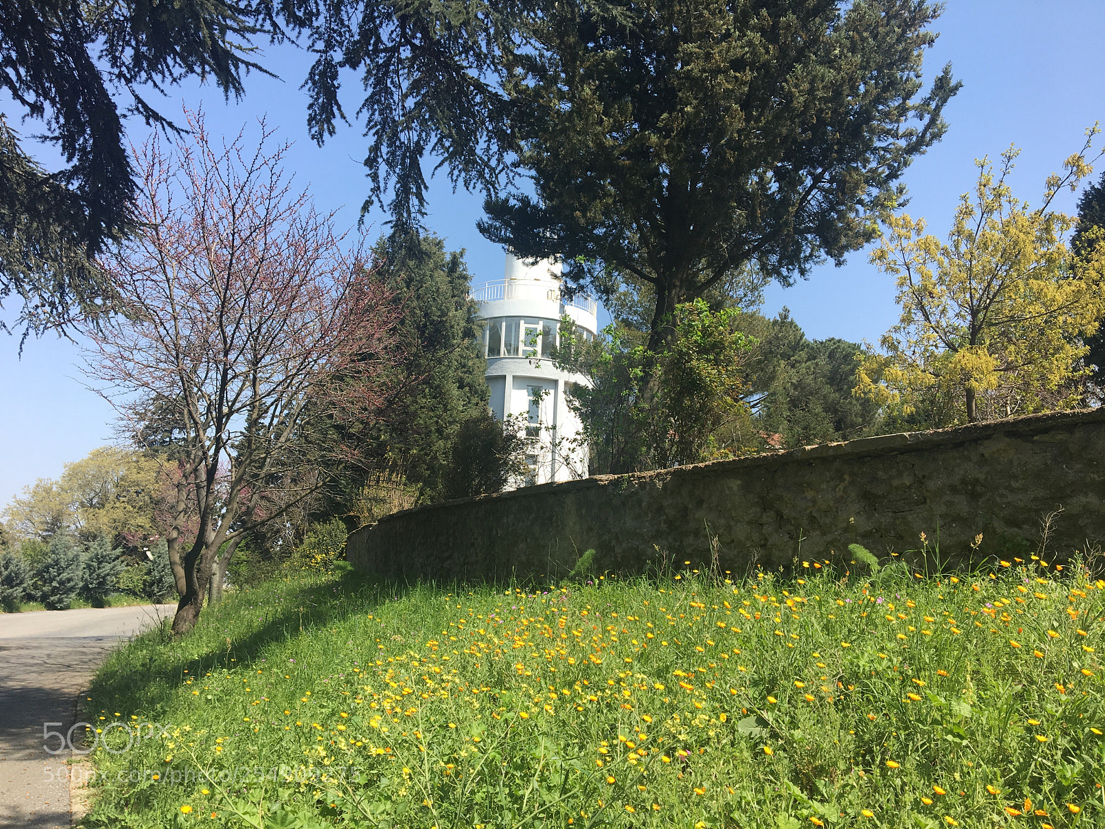 Apple iPhone 6s sample photo. Spring in İstanbul photography