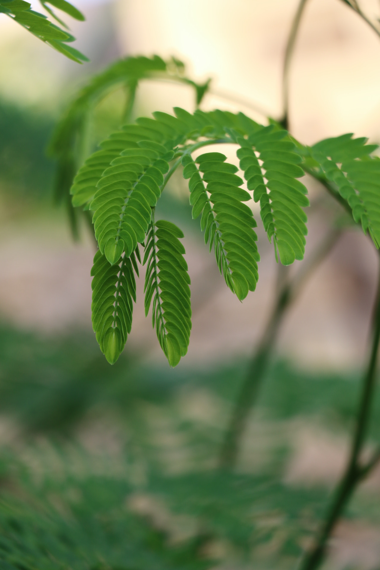 Canon EOS 7D Mark II sample photo