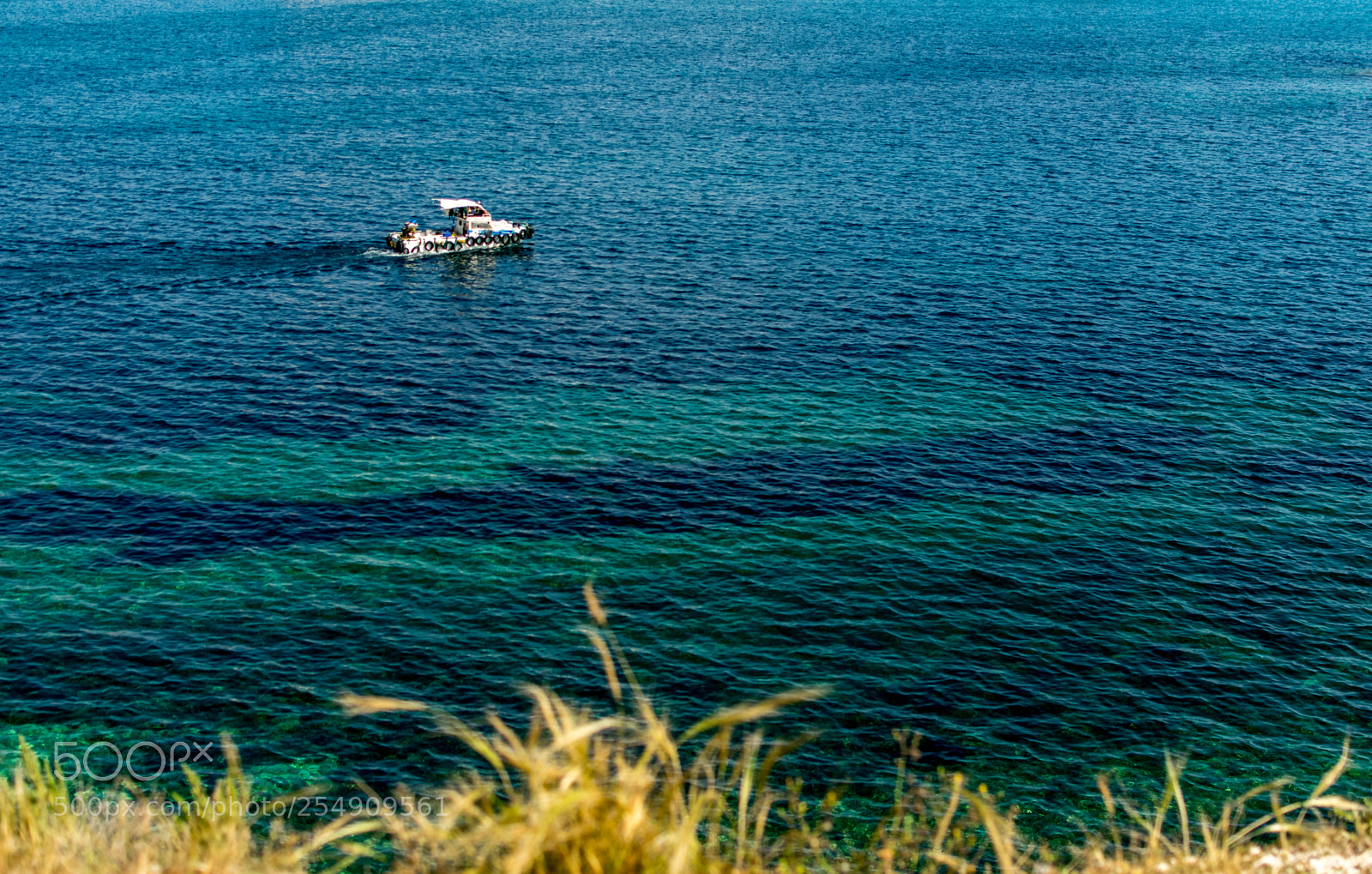 Nikon D3300 sample photo. Blue photography