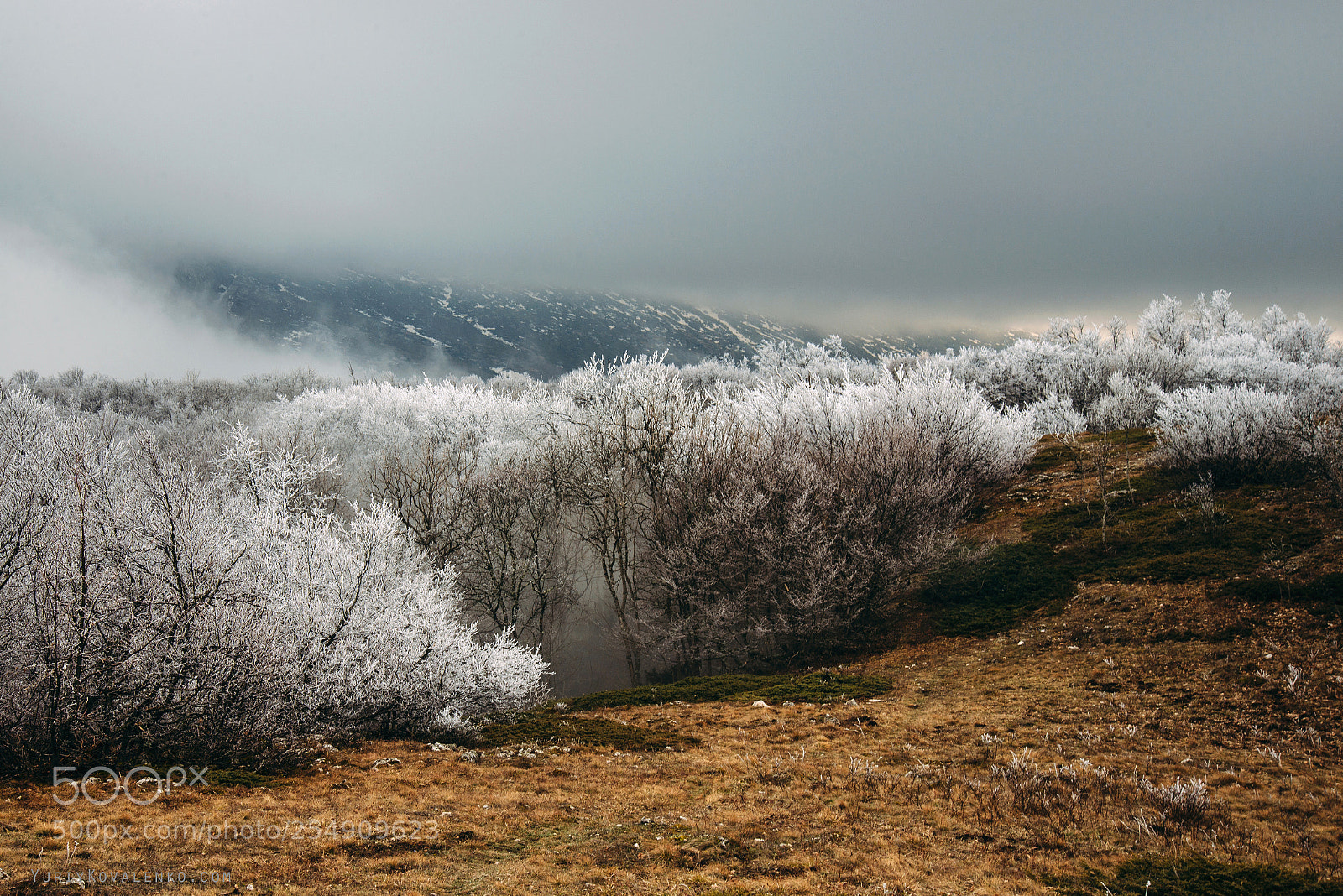 Nikon D610 sample photo. *** photography