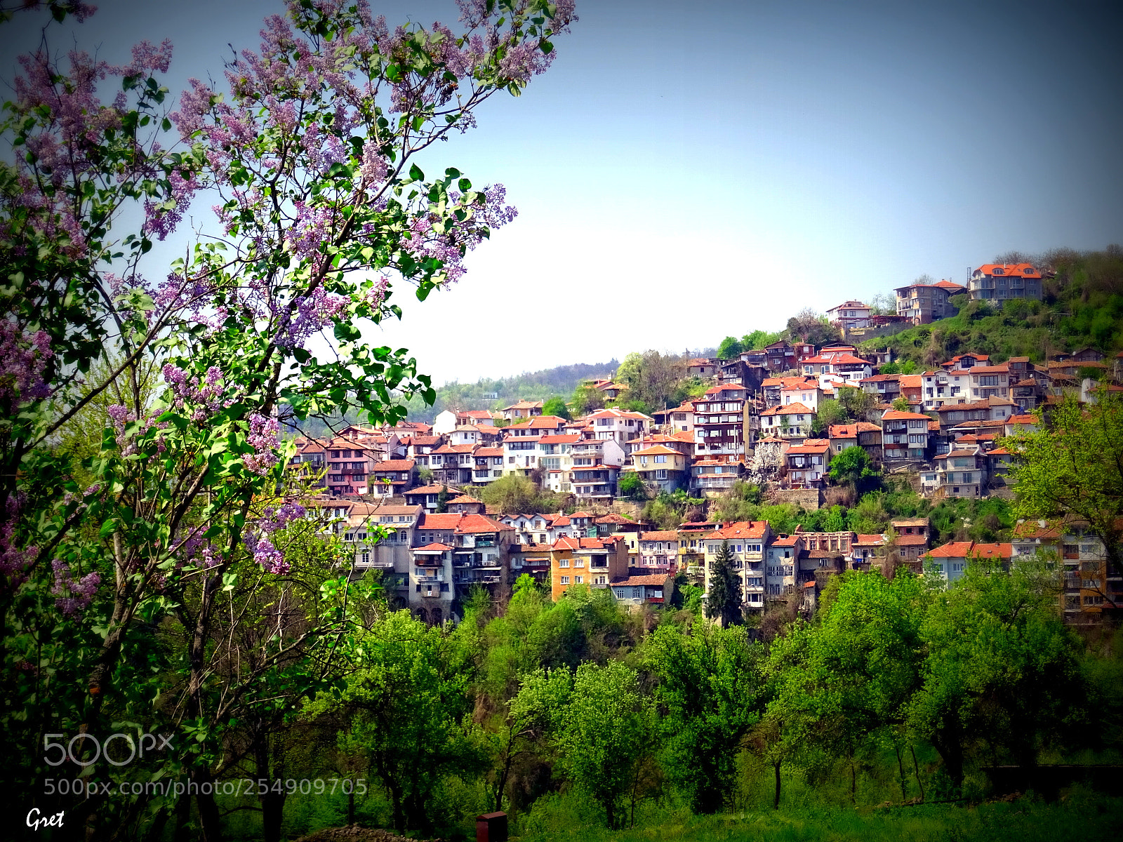 Sony DSC-HX60 sample photo. Lilac in my town photography
