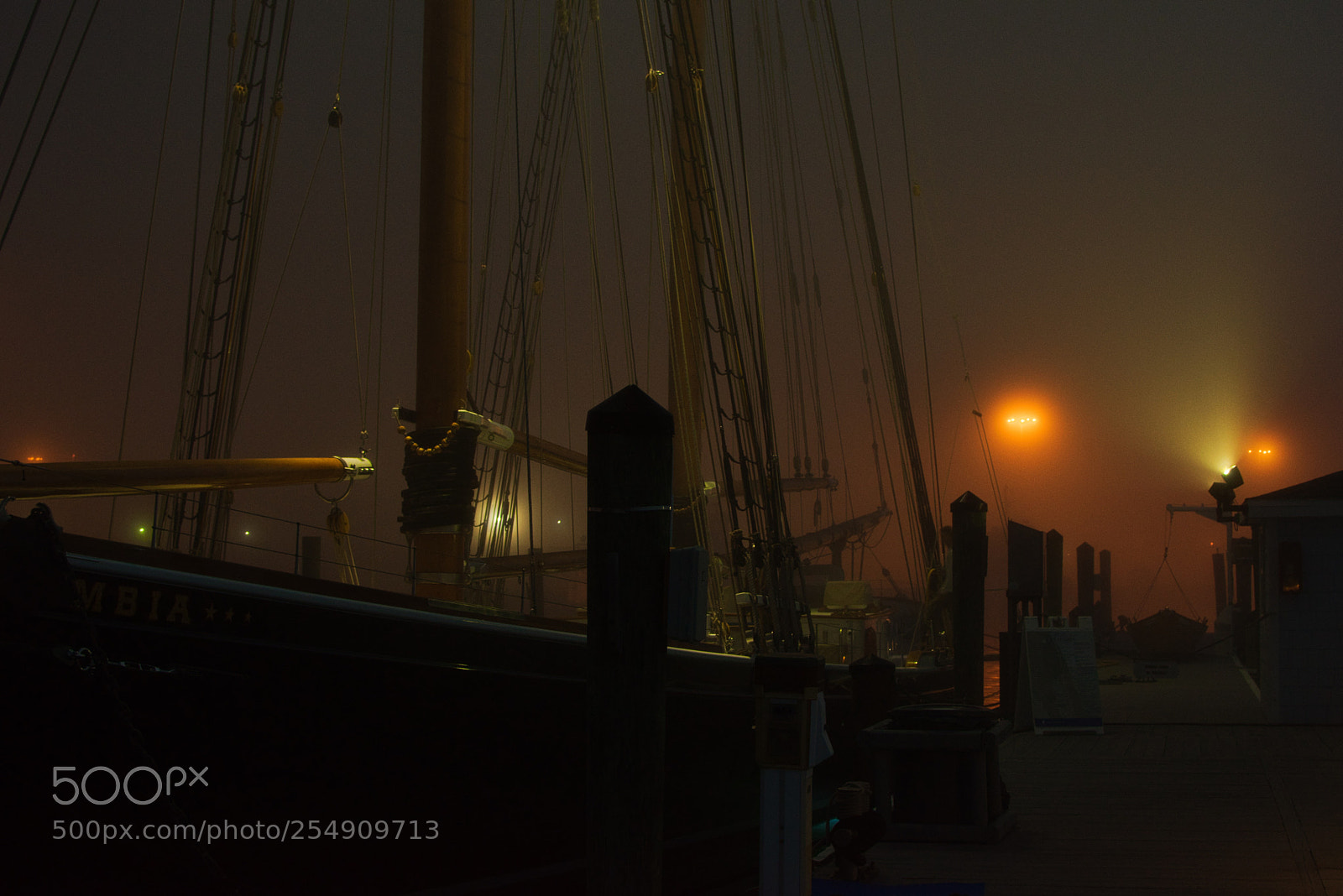 Nikon D5600 sample photo. Foggy night at the photography