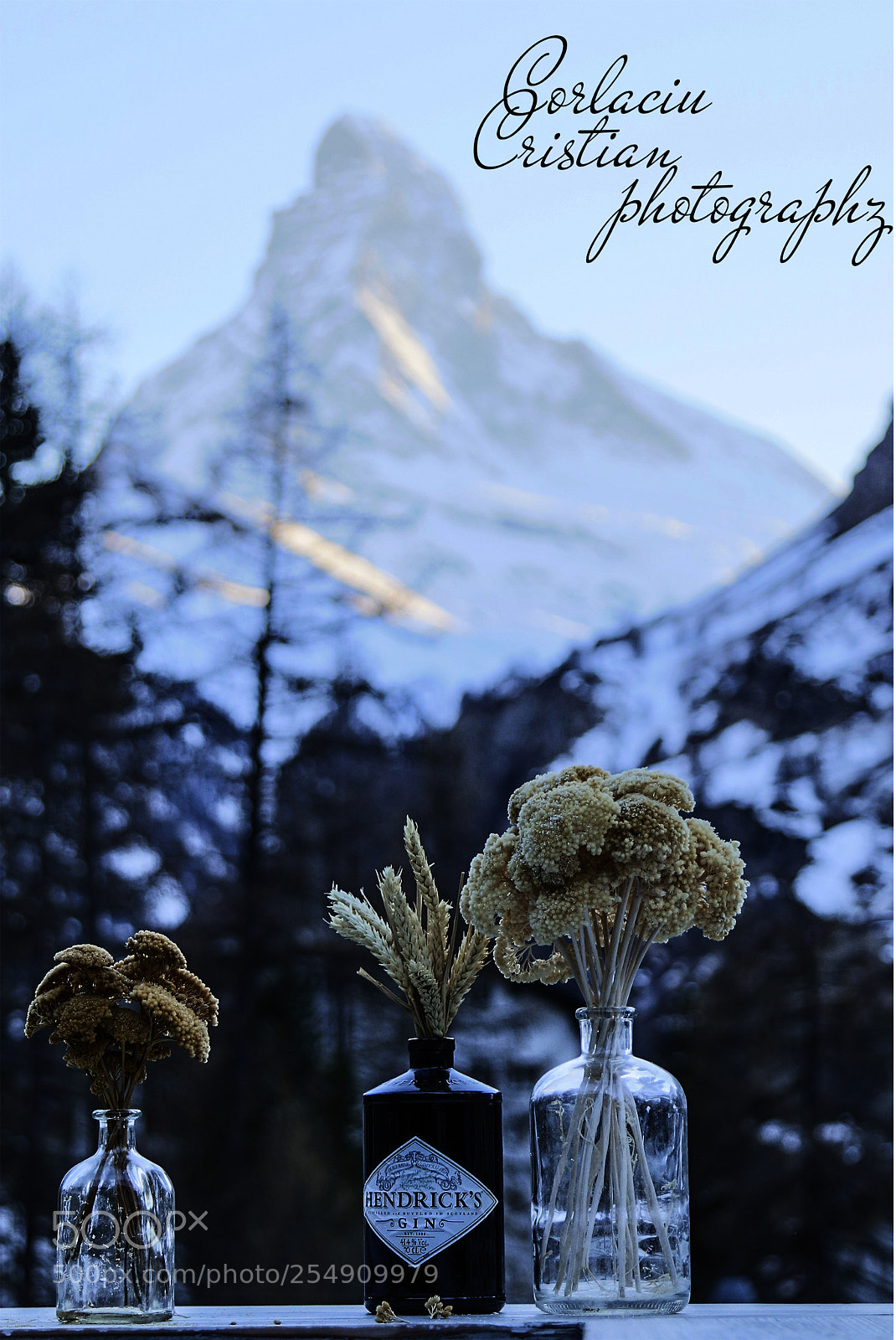 Canon EOS 70D sample photo. Hendricks photography