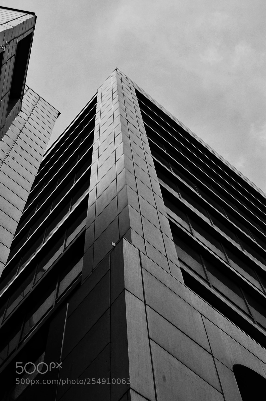 Nikon D40 sample photo. Untitled photography