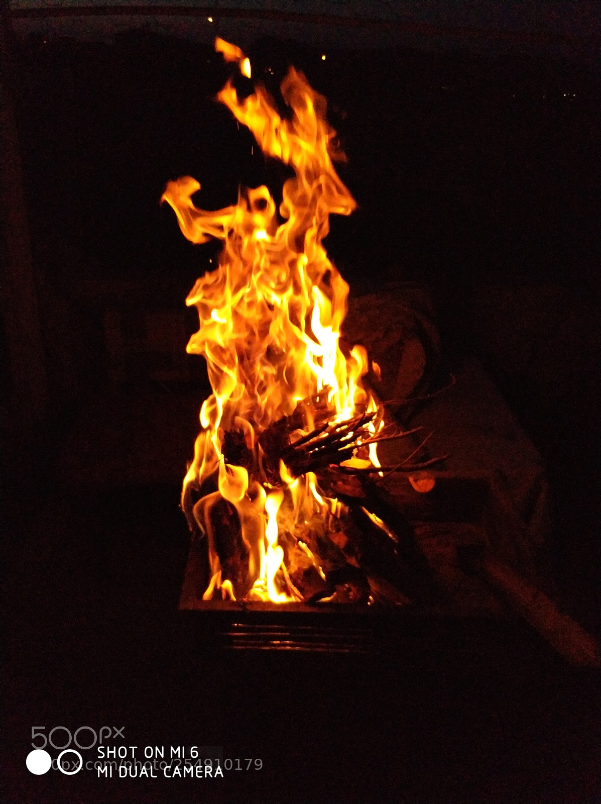 Xiaomi MI6 sample photo. Untitled photography