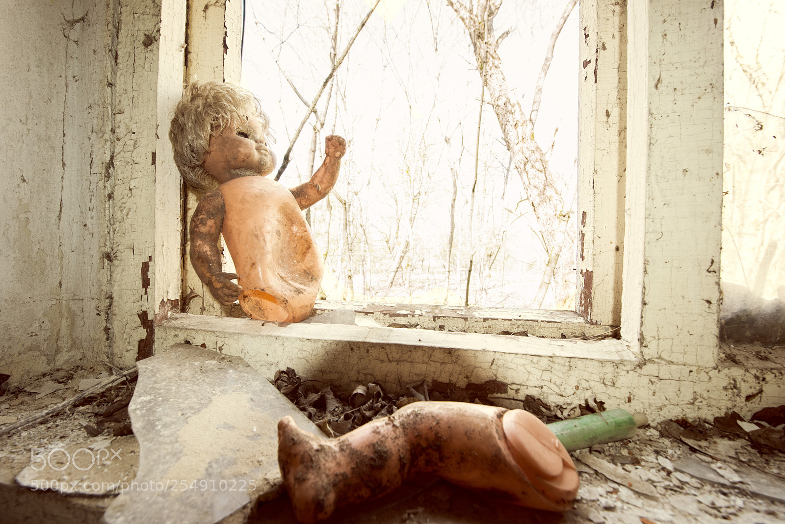 Nikon D810 sample photo. A broken doll in photography