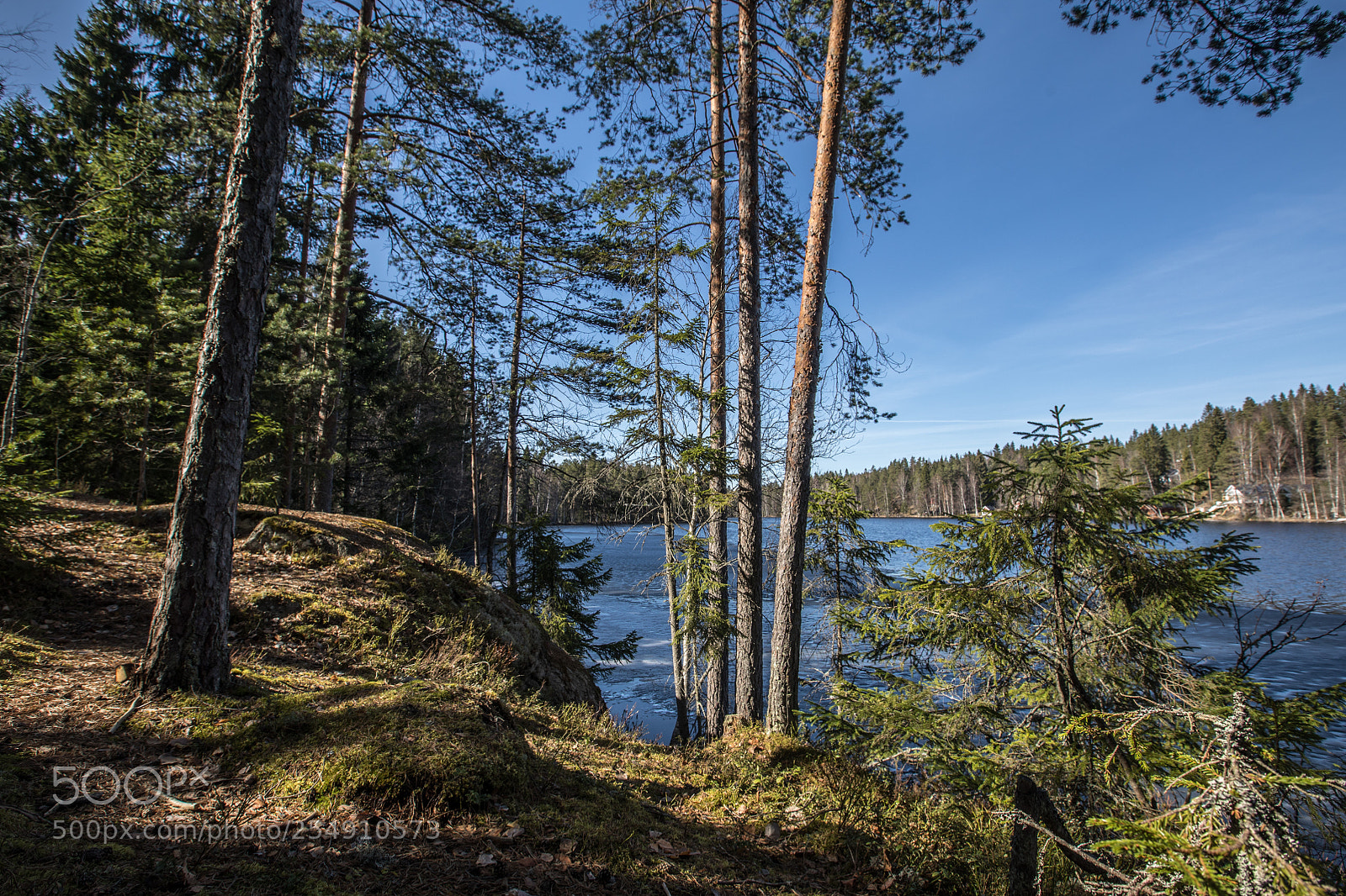 Canon EOS 5D Mark IV sample photo. Lake forest photography