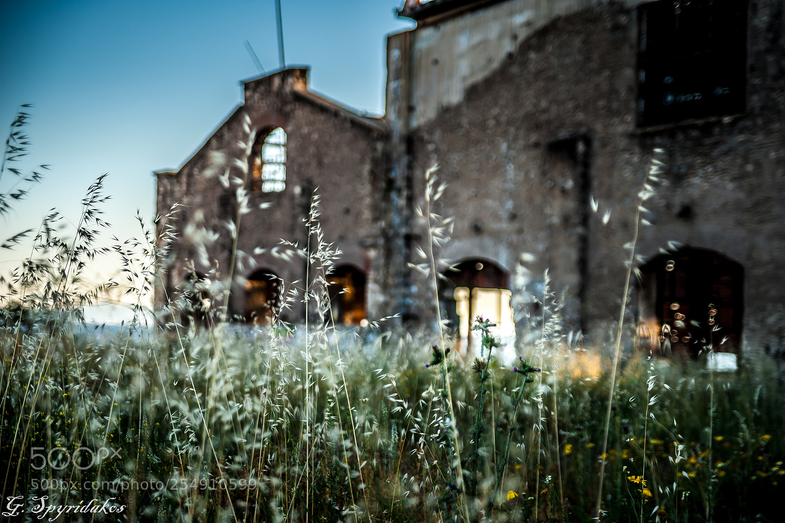 Nikon D700 sample photo. Ruins photography