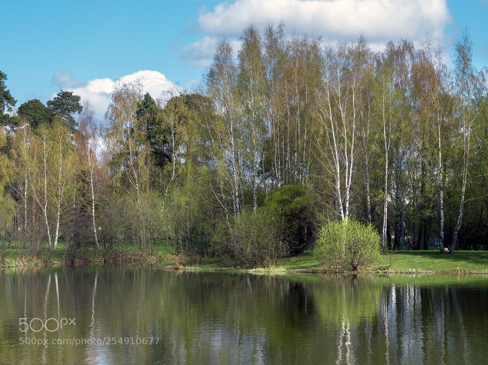 Olympus OM-D E-M10 sample photo. Quiet spring day photography