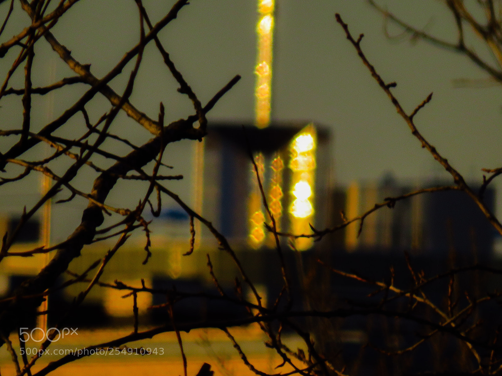 Canon PowerShot SX540 HS sample photo. Untitled photography
