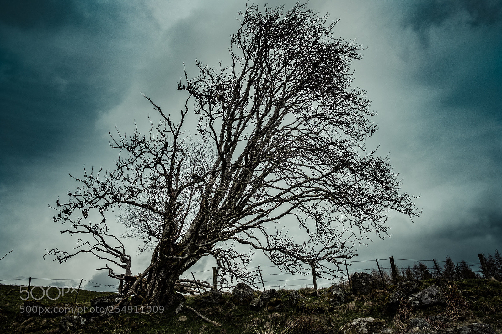 Fujifilm X-T2 sample photo. Scotland 2018, 3768 270 photography