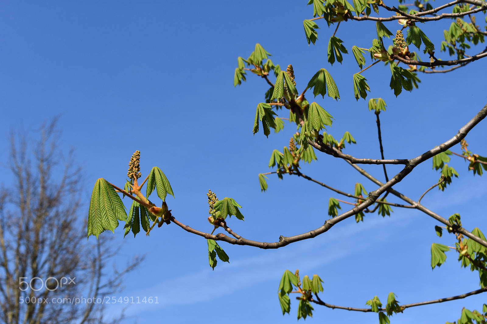 Nikon D3400 sample photo. Dsc photography