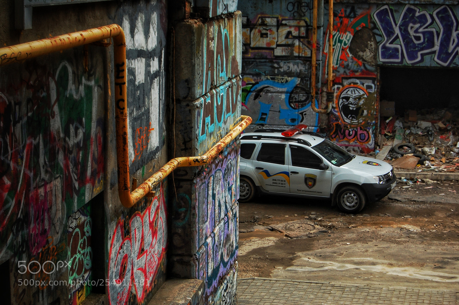 Nikon D40 sample photo. Untitled photography