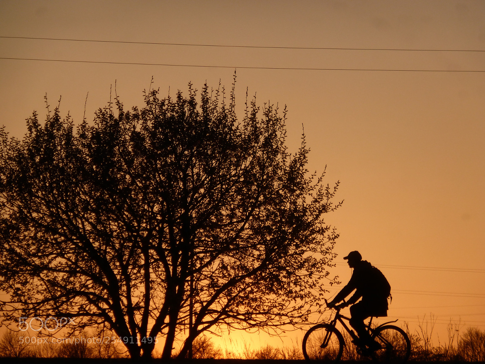 Panasonic Lumix DMC-ZS25 (Lumix DMC-TZ35) sample photo. Cyclist at sunset photography