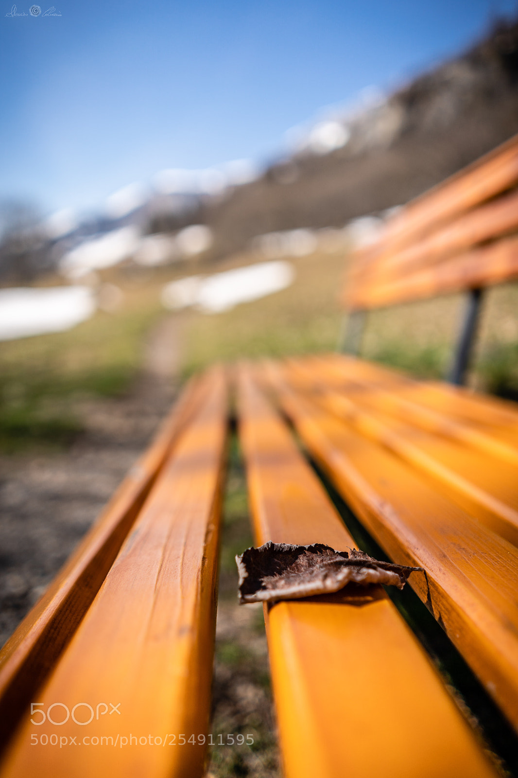 Sony a9 sample photo. Winter or autumn? photography