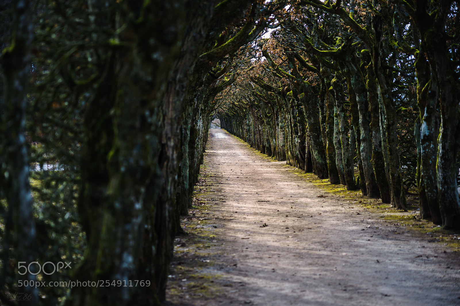 Sony a7 II sample photo. Eremitage - bayreuth photography