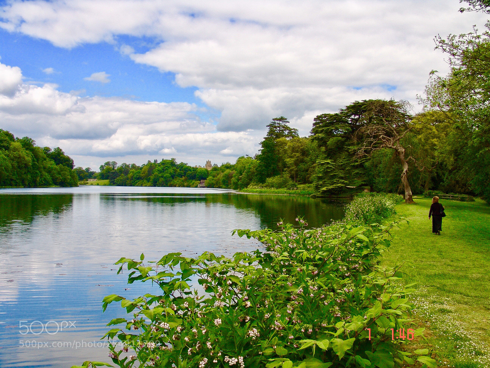 Sony DSC-F828 sample photo. English countryside  photography