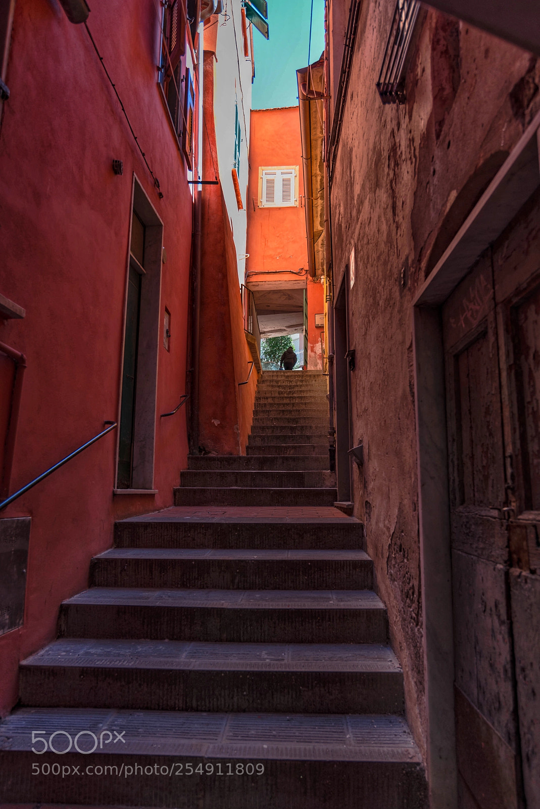 Nikon D610 sample photo. The alley photography
