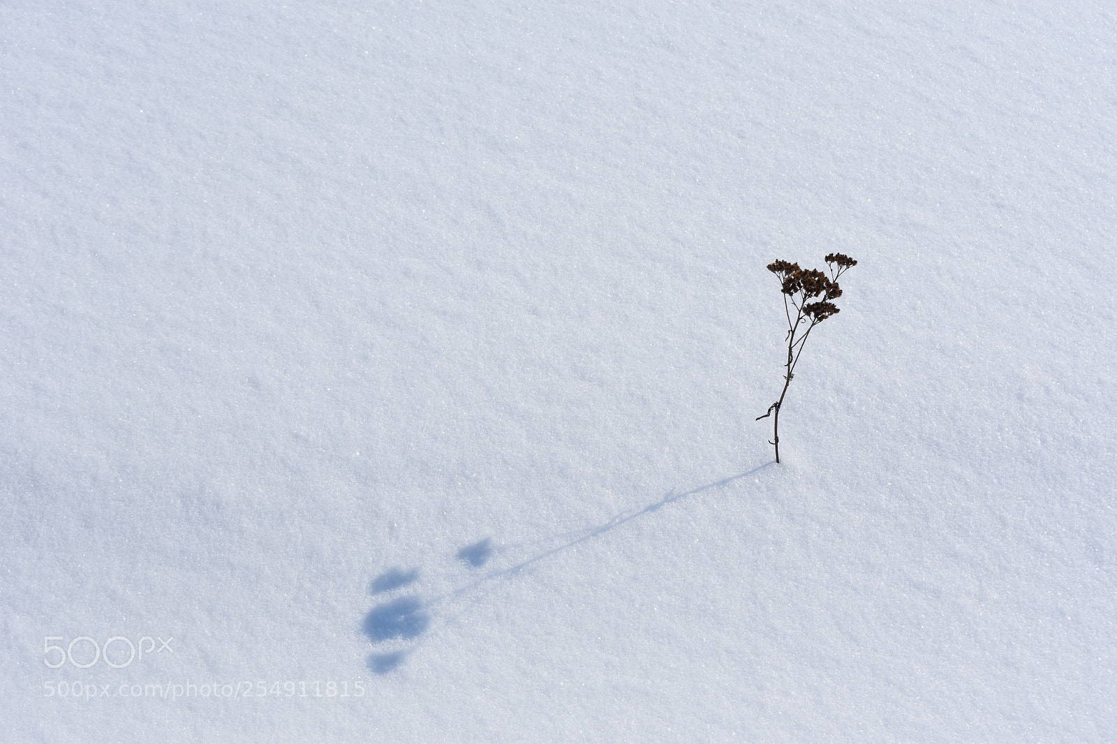 Nikon D3400 sample photo. Remembering winter photography