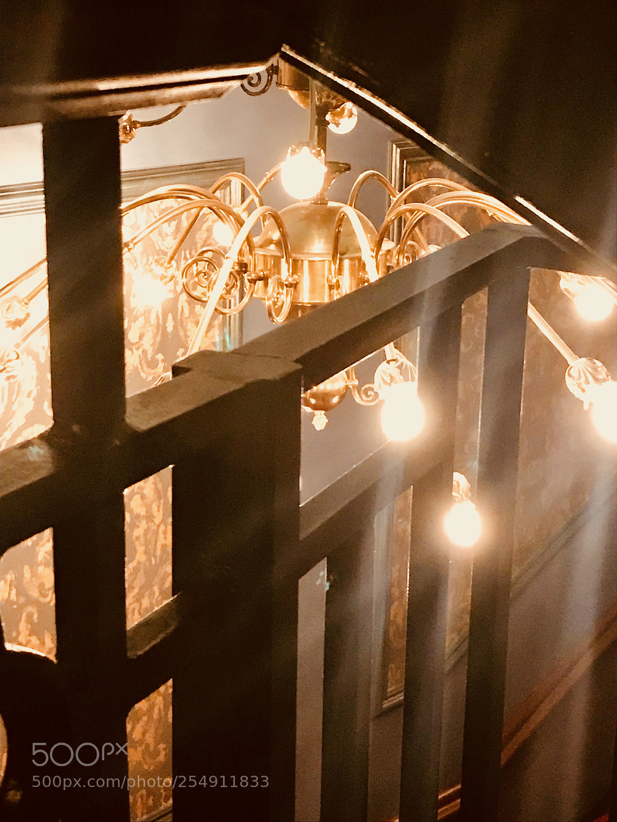 Apple iPhone 7 sample photo. Lyric lights 2 photography