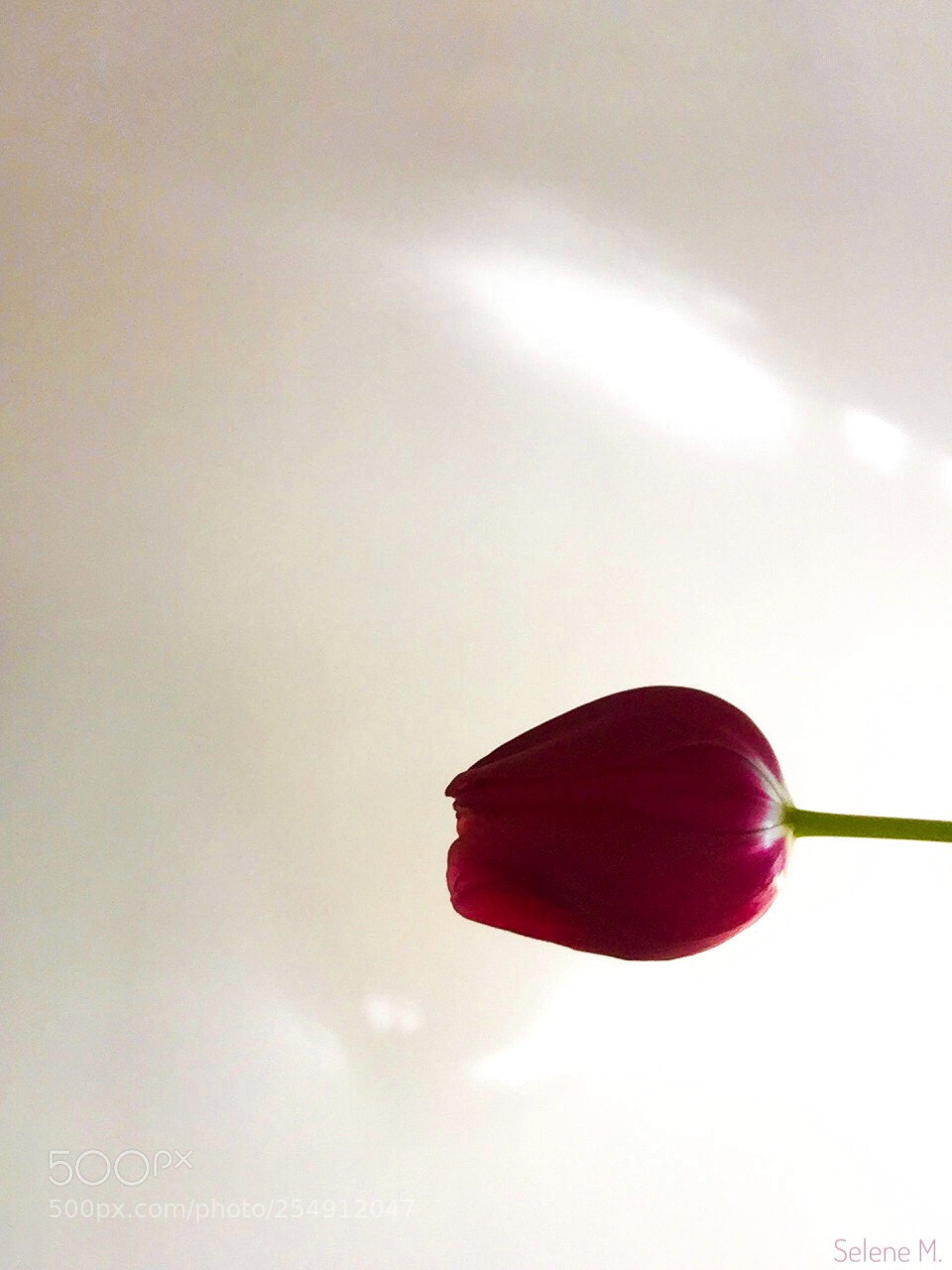 Apple iPhone 6 sample photo. Untitled photography