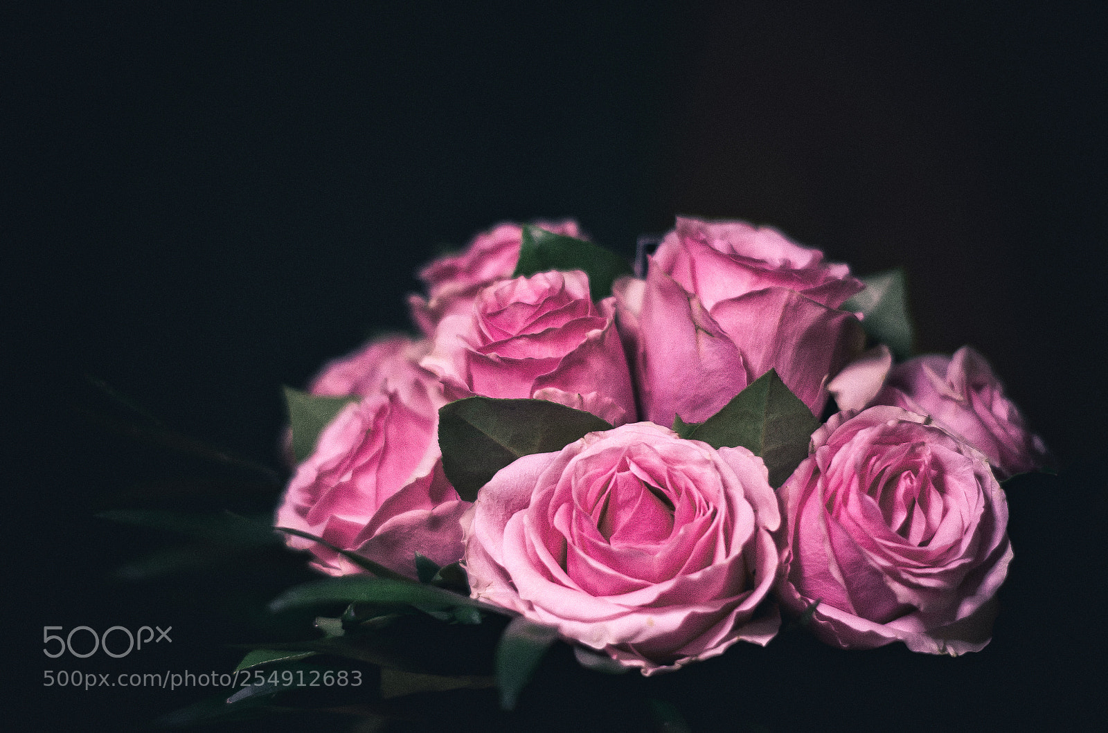 Pentax K-50 sample photo. C'est le bouquet... photography