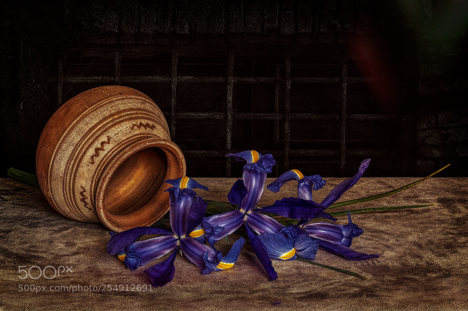 Nikon D90 sample photo. Irises photography