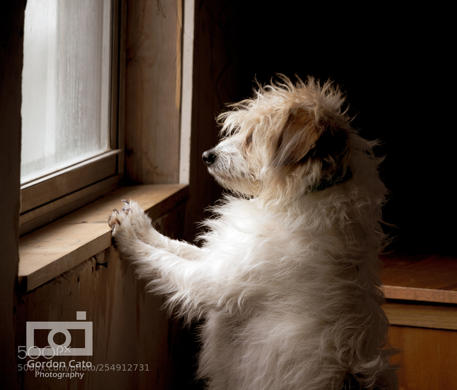 Canon EOS 60D sample photo. Waiting for my human photography