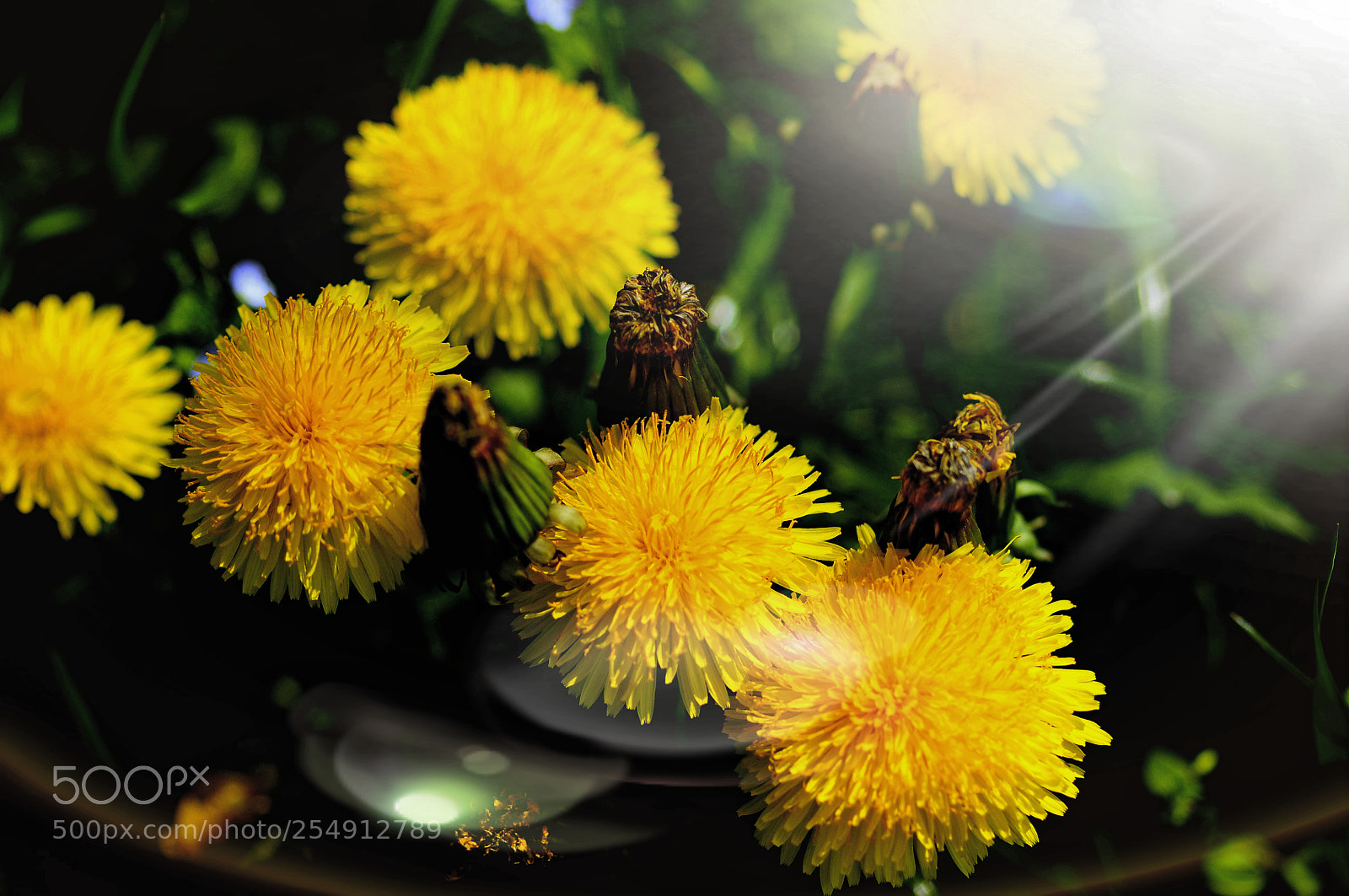 Nikon D90 sample photo. Let the sunshine...let the photography