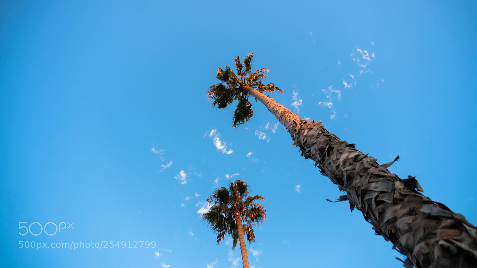 Sony a6300 sample photo. Lastbatch (of ) copy photography