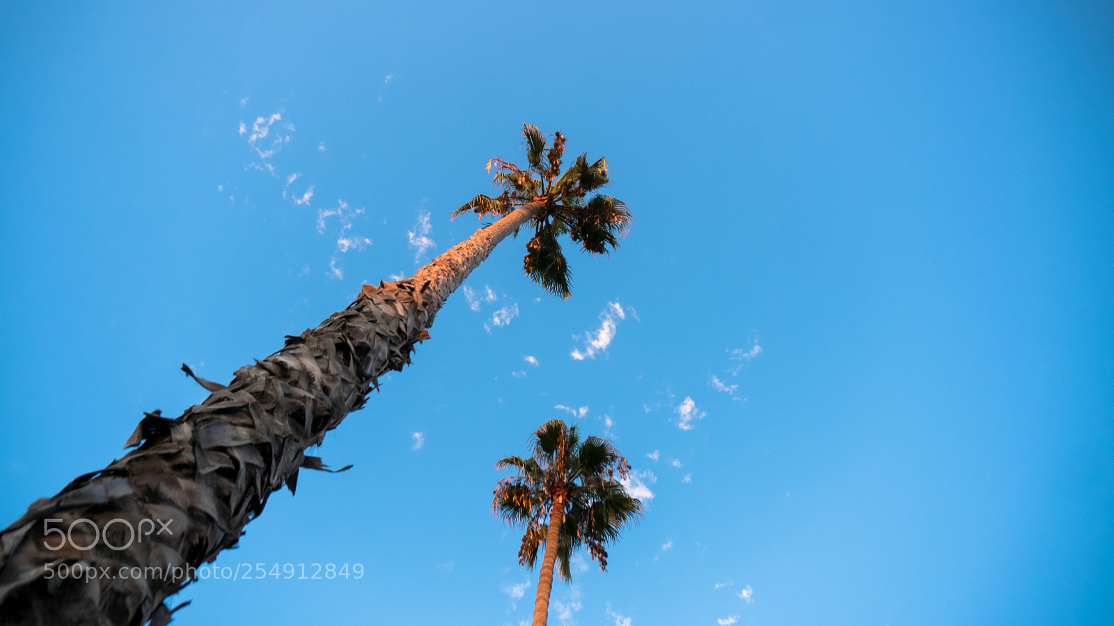 Sony a6300 sample photo. Lastbatch (of ) photography