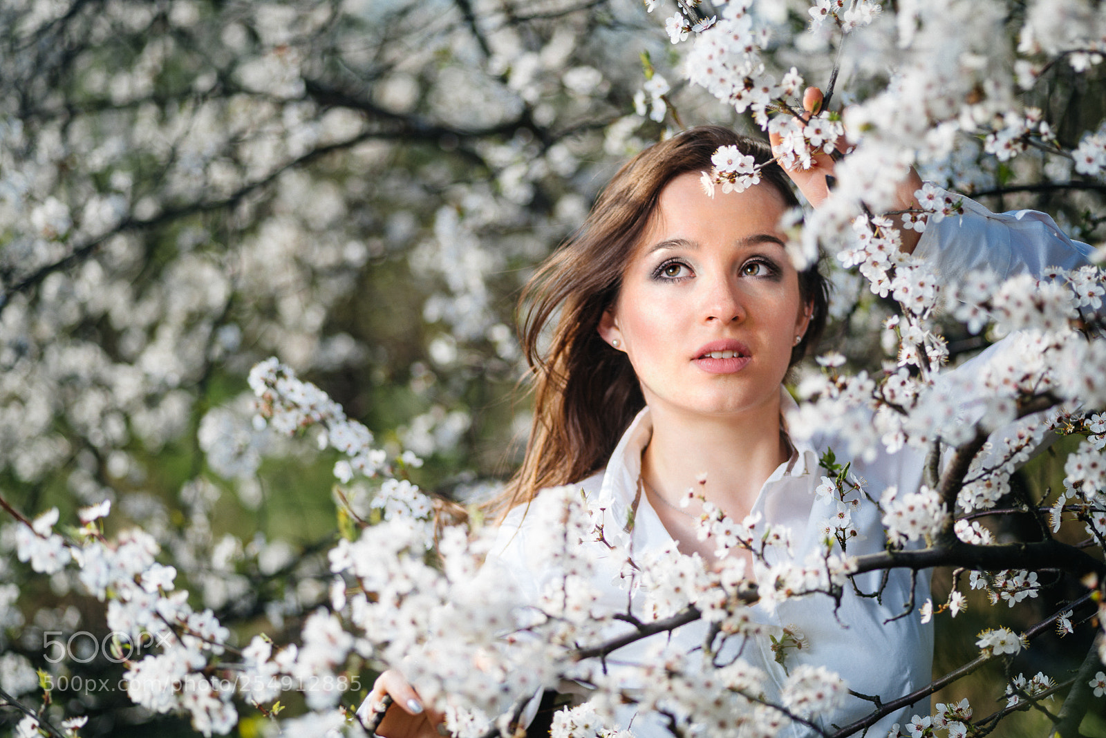 Nikon D800 sample photo. Ewa (spring) photography