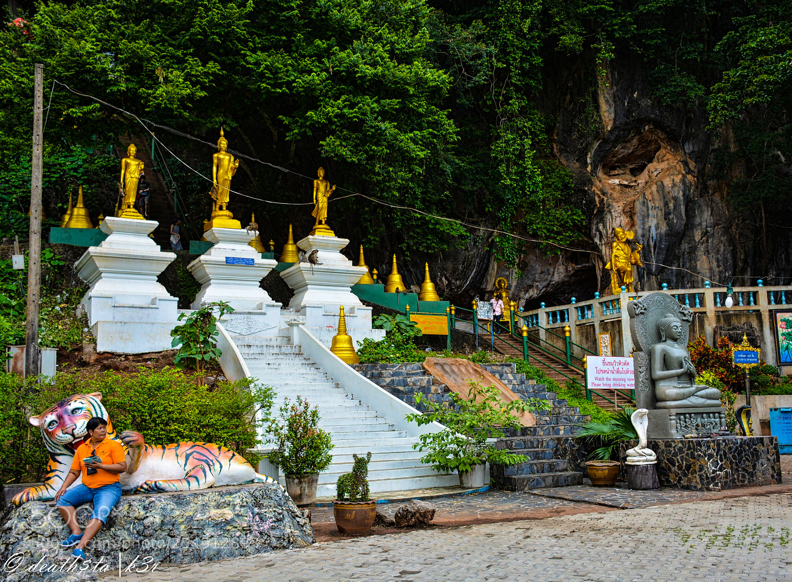 Nikon D7100 sample photo. Tiger temple photography