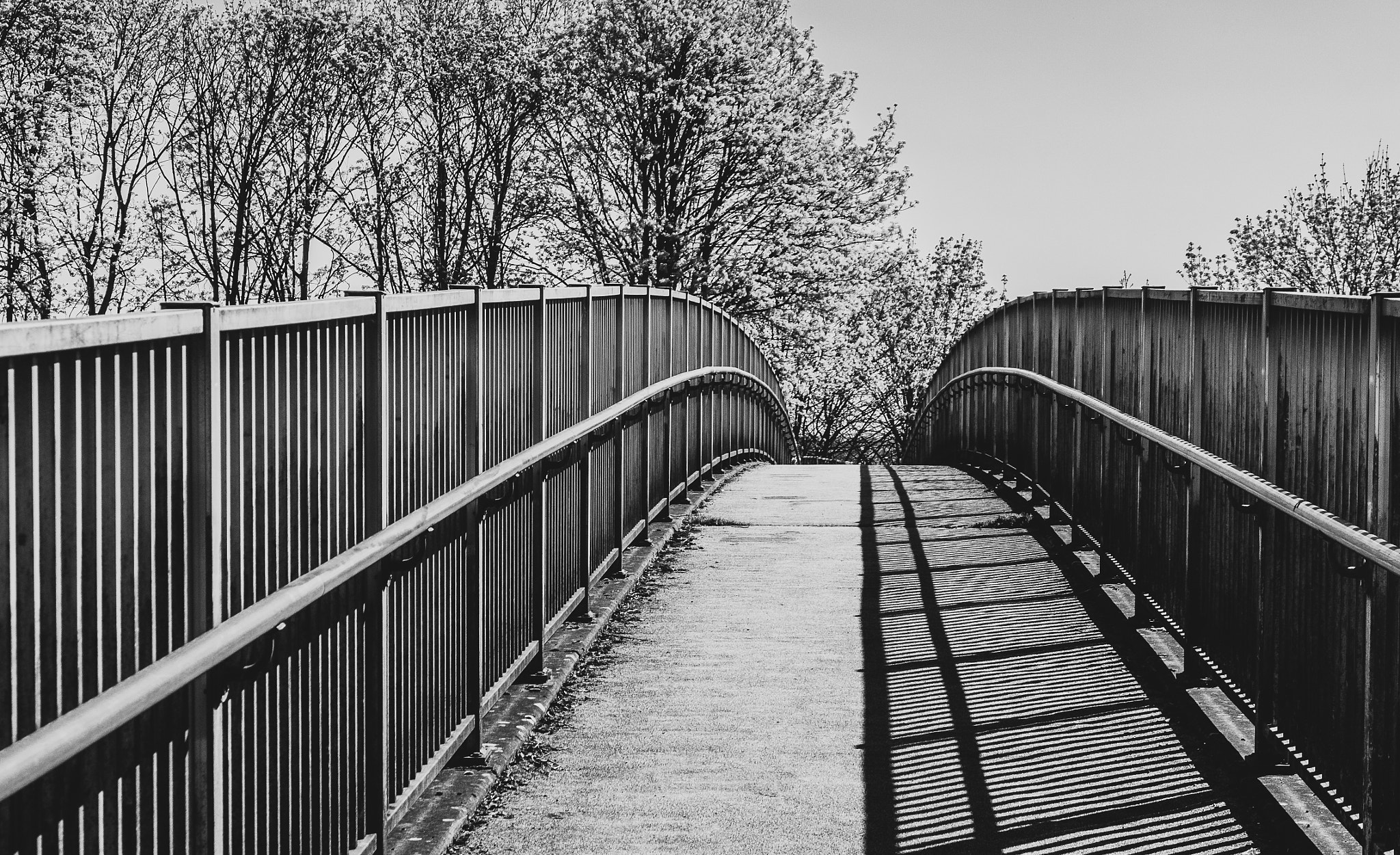 Panasonic DC-TZ200 sample photo. Walkway ( bw) ( panasonic lumix tz200) photography