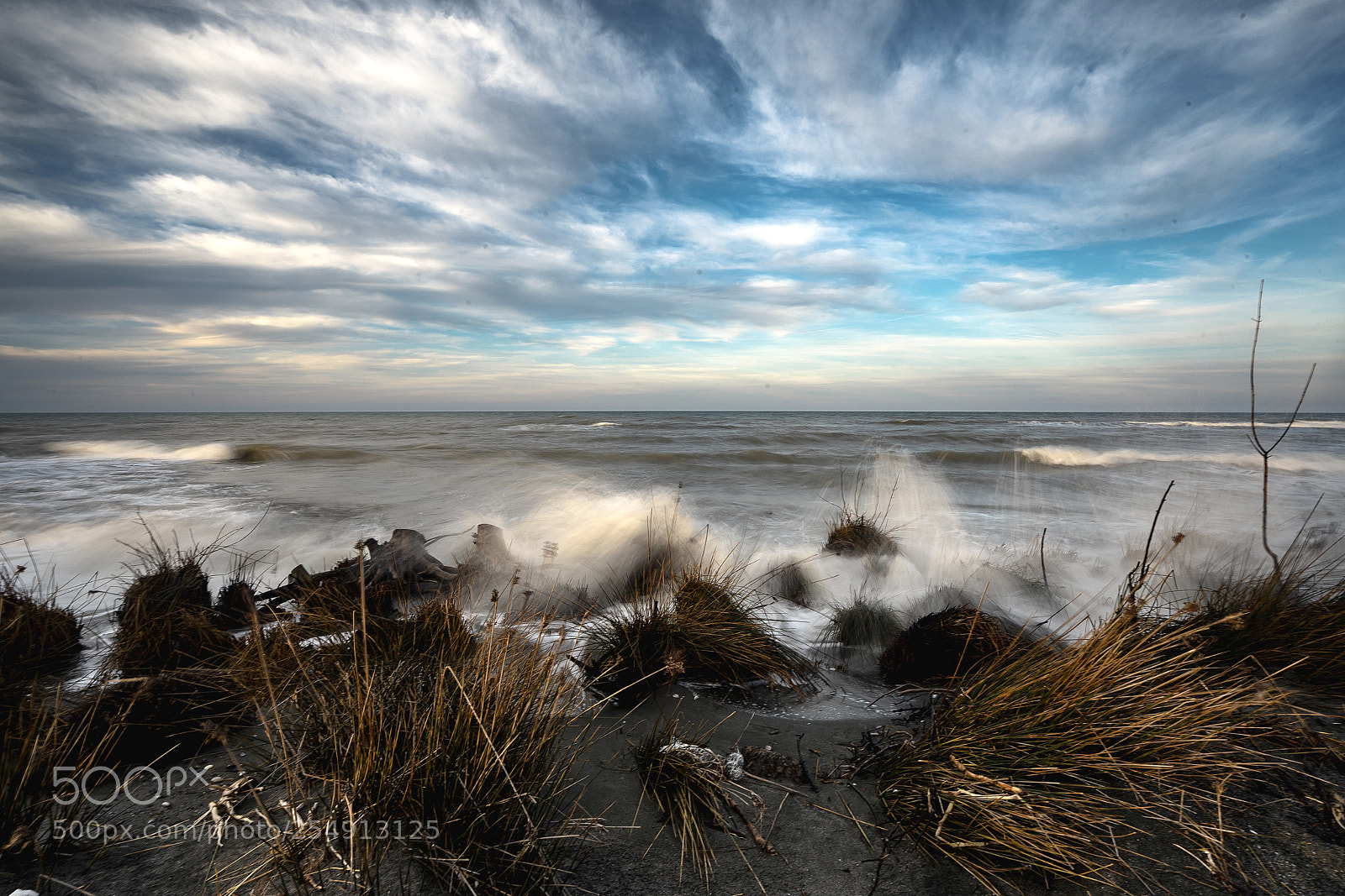 Sony a7 II sample photo. War of nature 1 photography