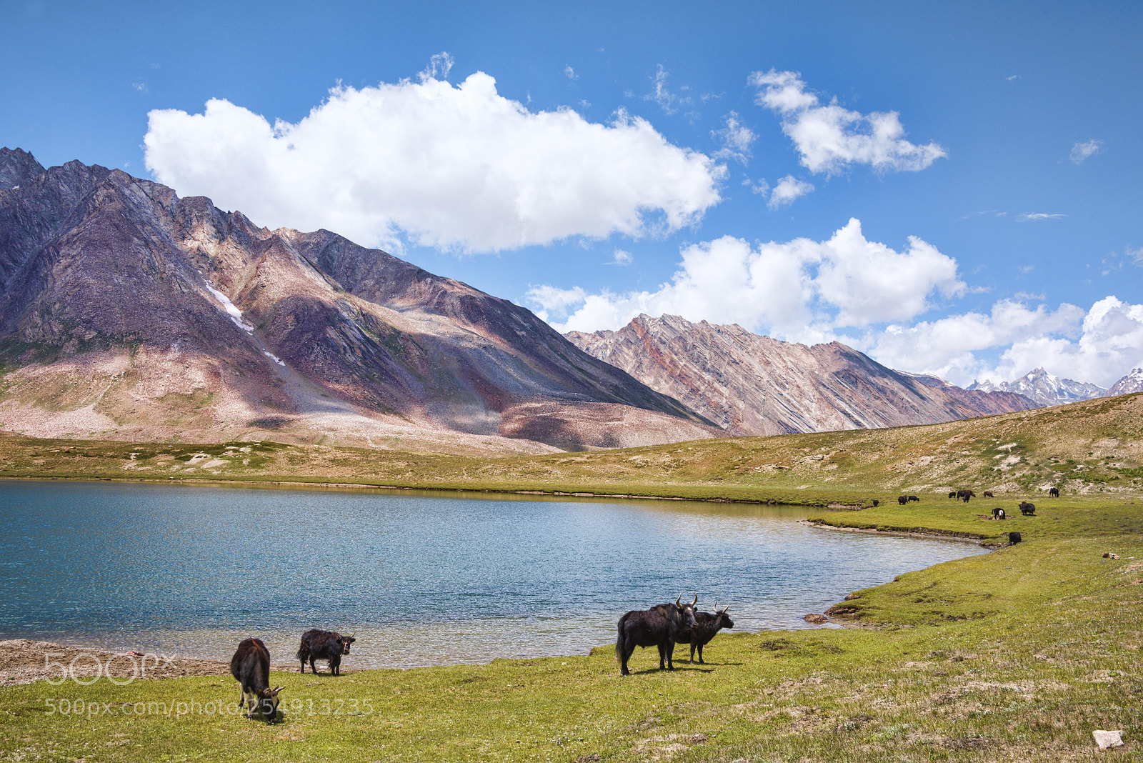 Nikon D810 sample photo. Bucolic landscape of the photography
