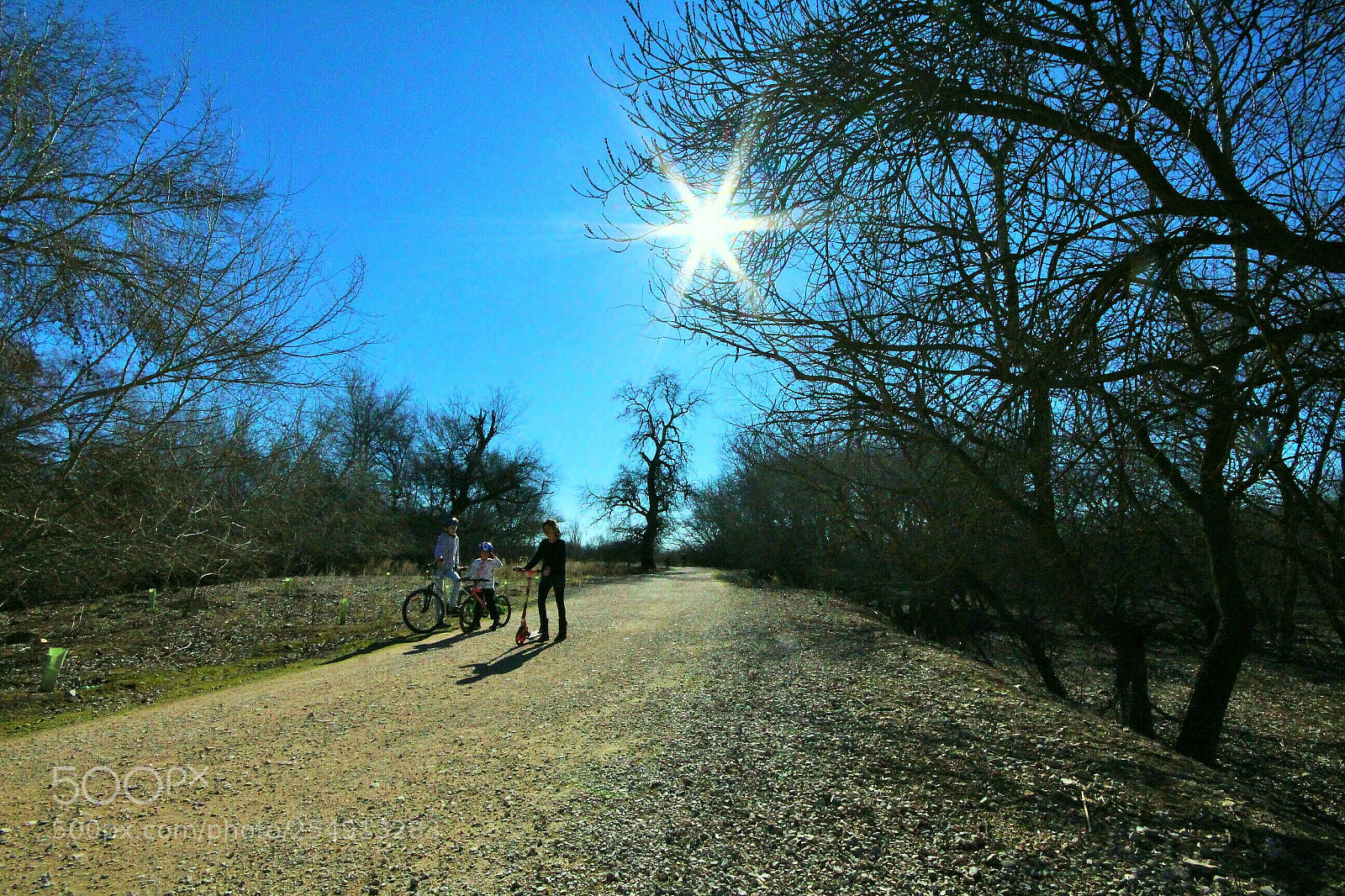 Canon EOS 700D (EOS Rebel T5i / EOS Kiss X7i) sample photo. Sigo en el camino. photography