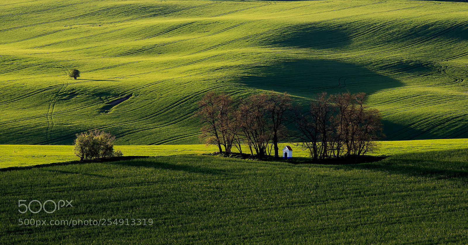 Canon EOS 6D Mark II sample photo. Barborka photography